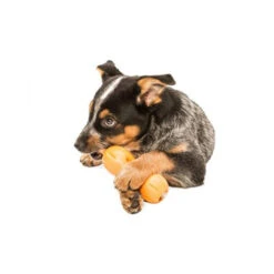 Zogoflex Qwizl 9 Zogoflex Qwizl -Zoofachgeschäft zogoflex qwizl 136852 0500 none