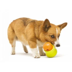 Zogoflex Toppl - Treat Toy 17 Zogoflex Toppl - Treat Toy -Zoofachgeschäft zogoflex toppl treat toy 219464 0500 none