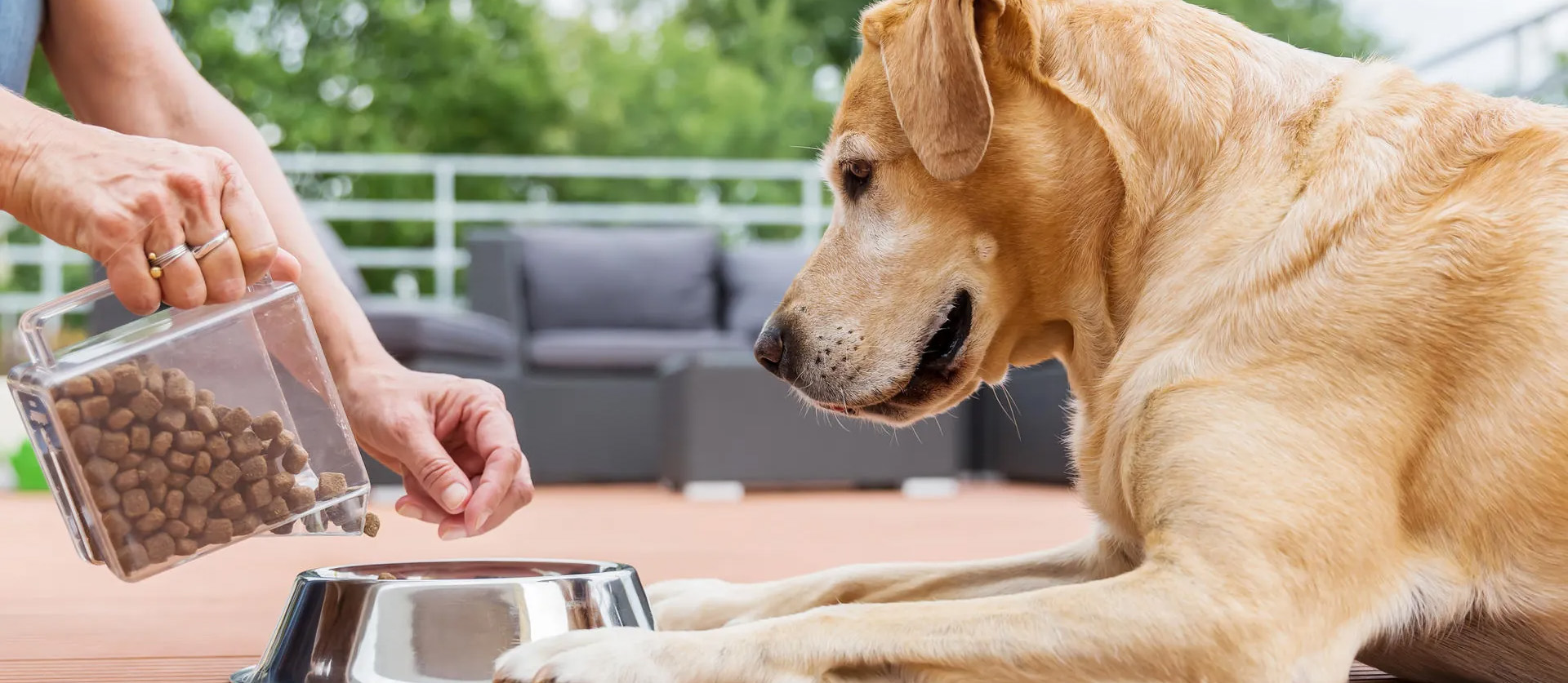 Zoofachgeschäft -Zoofachgeschäft 2